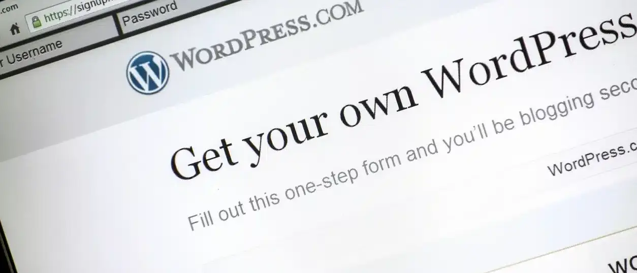 Rang razvoj WordPress