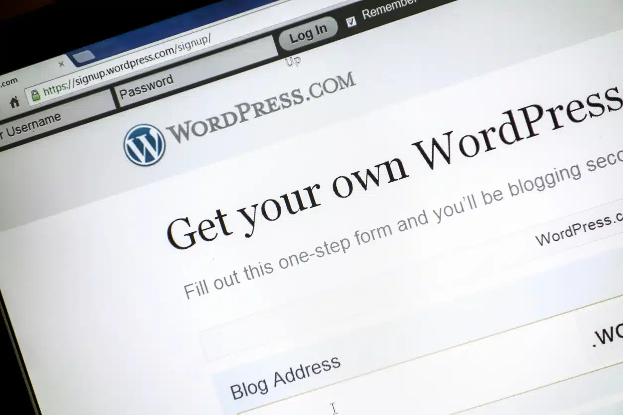 Rang razvoj WordPress